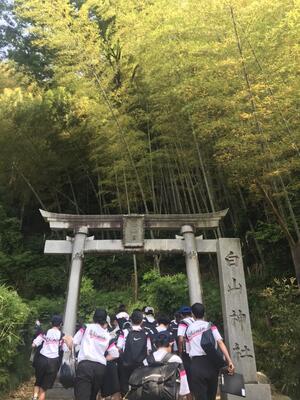パワースポットの白山神社では、農耕生活を支えていた牛の置き物を見ました。