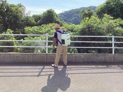 除草剤をまいている様子